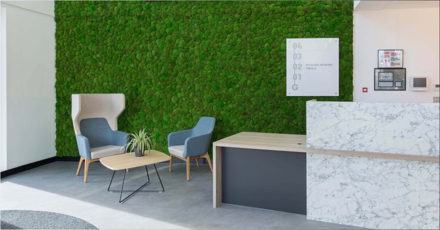 The Biophilic Office: Design Principles & Examples